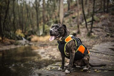 Жилет для собак Julius-K9 IDC 3в1, чорний та неоновий, розмір S