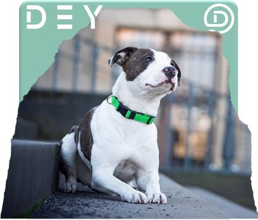 Преміум нашийник для собак DEY Air Mesh | Регульований | для малих, середніх та великих собак | багато кольорів та розмірів | нашийник для собак та котів | нашийники для собак | нашийник для цуценят | Рожевий, M [M/L] - 2,5 x 34-49 см Рожевий