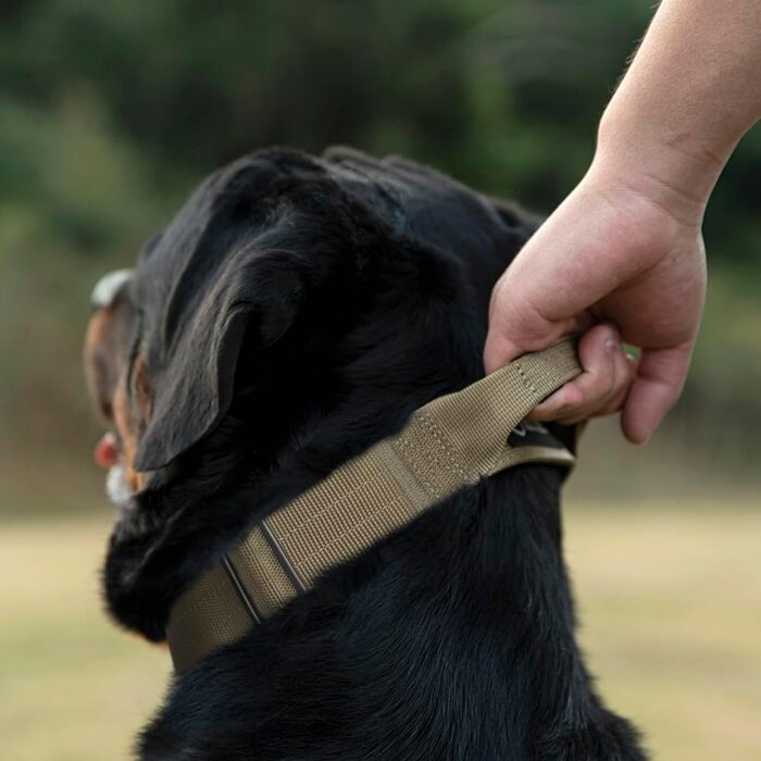 Преміум нашийник для собак TSPRO з ручкою, тактичний, важкий, швидкозастібається, для собак середніх та великих порід (L), Camo Rosa