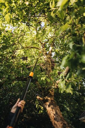 Телескопічний сучкоріз Fiskars UPX86 для свіжих гілок, антиадгезійне покриття, сталева лезо, алюмінієва ручка, 2,4–4 м, чорний/помаранчевий