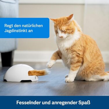 PetSafe Cat Toy, Interactive Engagement Toy with Timer, 3 AA Batteries Required (Den)