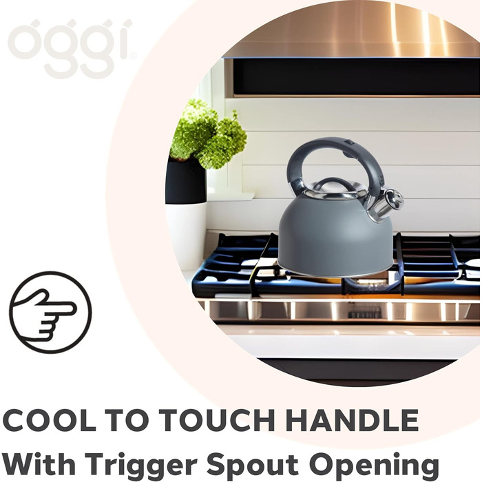 Чайник OGGI для плити, 1.9 л, нержавіюча сталь, з гучною свистком, ідеальний для приготування гарячої води