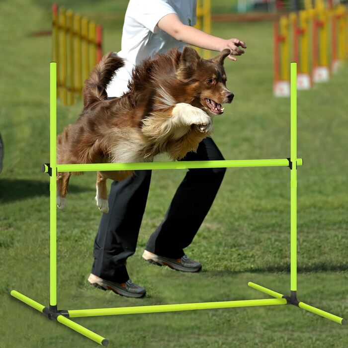 Набір для аджиліті для собак: перешкоди, стрілки для слалому, обладнання для тренувань. Регульована висота, 104x70x101 см, зелений