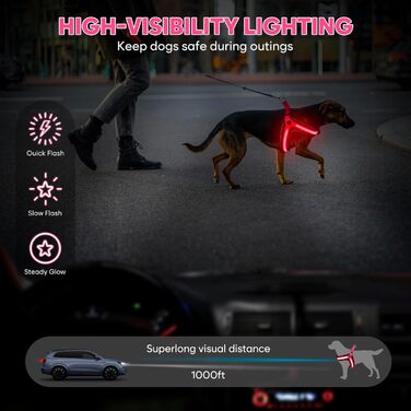Світловідбиваючий жилет для собак BiPawTi середнього розміру, перезаряджається, жилет для собак зі світлодіодами, 3 режими світіння - світиться в темряві, шлейка для собак, для прогулянок, зелене світло (рожеве/червоне), XL