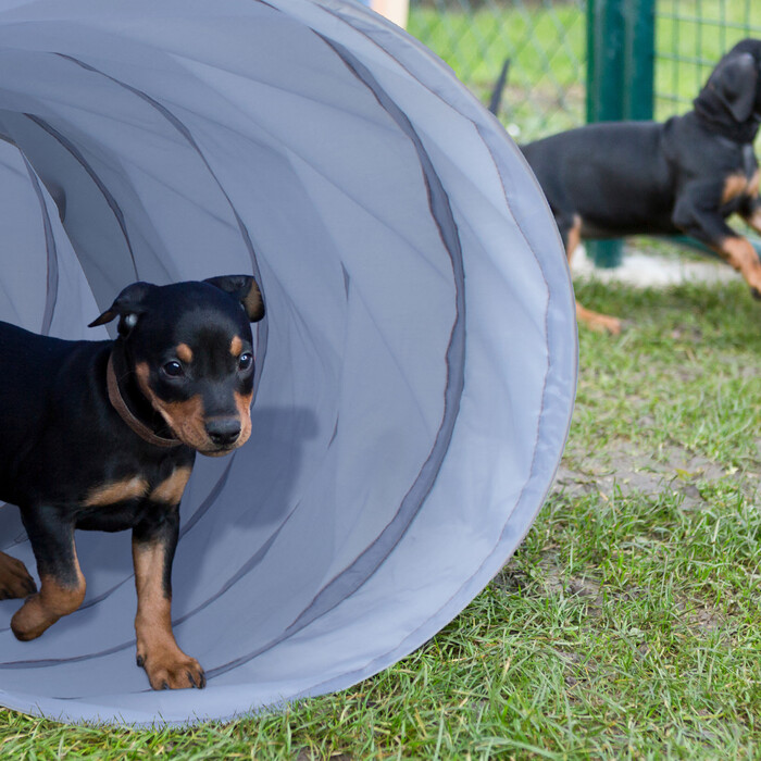 Relaxdays Dog Tunnel Agility 2m