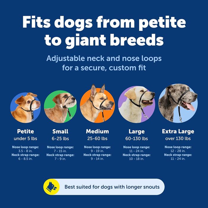 Нашийник для дресирування PetSafe Sanfter Führer, великий (темно-сірий), з DVD