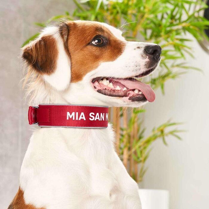 Нашийник для собак Hunter Neopren Reflect FC Bayern, L (60), червоний