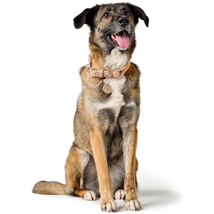 Нашийник для собак HUNTER Malia, бордово-коричневий, з м'якого шнура та міцної шкіри, легкий, зносостійкий, сучасний та елегантний дизайн, яскраві кольори, Made in Germany, розмір 45, бордово-коричневий