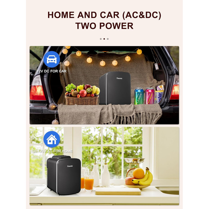Reemix Mini Fridge - 4L / 6 Can Capacity - Portable Cooler & Warmer