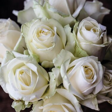 Ваза Nachtmann Quartz з кришталевого скла, 16 см, для квітів, стіл, миття в посудомийній машині