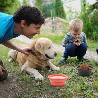SLSON 2 миски для собак та котів, інтегровані, складні, без краю, з пластику, 600 мл (сірий + рожевий)