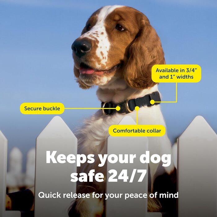 PetSafe KeepSafe надійне зносостійке нашийник для собак червоний Large (2.5 см)