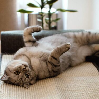 Navaris Cat Scratch Mat Scratch Protection Sofa - Sisal Scratch Rug 130 x 45 cm for Cat - Couch Cat Scratch Mat - also suitable for dogs - (Light Brown - white)