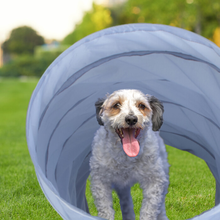 Relaxdays Dog Tunnel Agility 3m