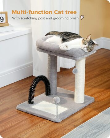 PETEPELA Small Scratching Post 51cm with Sisal Scratching Column, Scratching Board, Scratching Pad, Play Ball, Plush Cave for Kittens, Grey