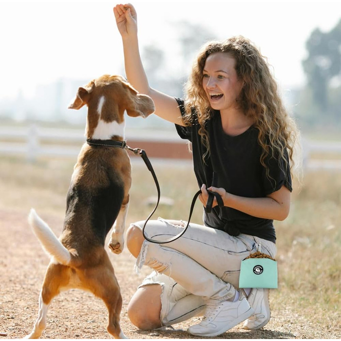 Сумка для ласощів для собак COOWONE, з магнітною застібкою, 900D Oxford, для дресирування та прогулянок (м'ятний колір)