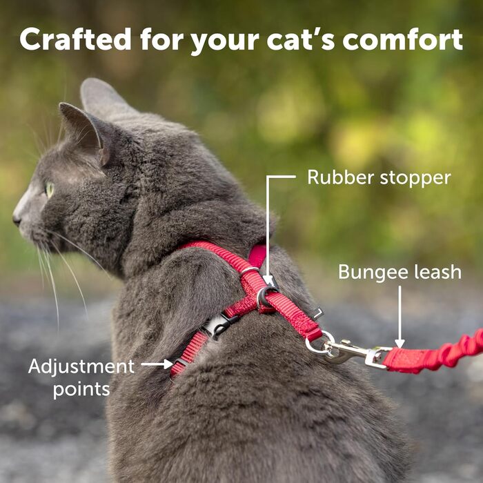 PetSafe Come with Me Kitty Harness and Bungee Leash, Harness for Cats, Size M, Red/Cranberry, Model: CWMK-M-RED