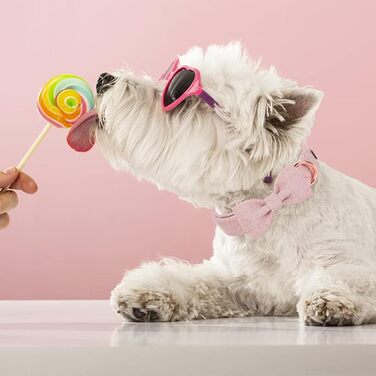 Нашийник для собак дівчаток Aring Pet: бавовняний, з бантиком, регульований, рожевий (M)