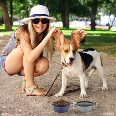 Складані миски для собак SLSON, 2 шт. з кришкою та карабінами, для годування, води, подорожей та прогулянок (Small, haze purple cool gray)