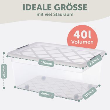 Blumtal Storage Box with Lid 32L Made of Plastic - Storage Boxes 36.5x36x26.5 cm - Storage Boxes Made of 100% New Material with Closure Clips - Storage Boxes with Lid (40 Liter, 4-Piece Set)