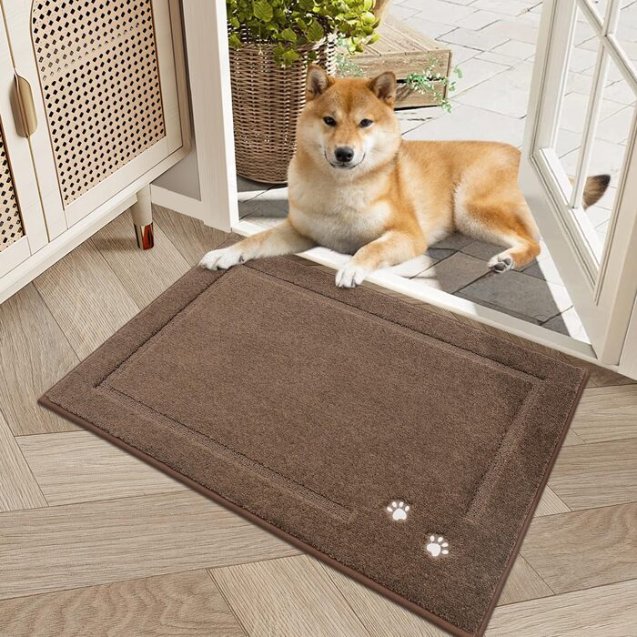 Килимок для дому BEQHAUSE 80x120 см, миючий, для входу, переднього та заднього дверей, коридору (колір: коричневий)