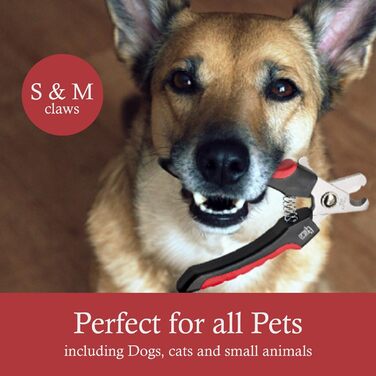 Професійні ножиці для грумінгу тварин Epica Nr.1 – для собак середніх та великих порід, ML Pet Clipper (Small)