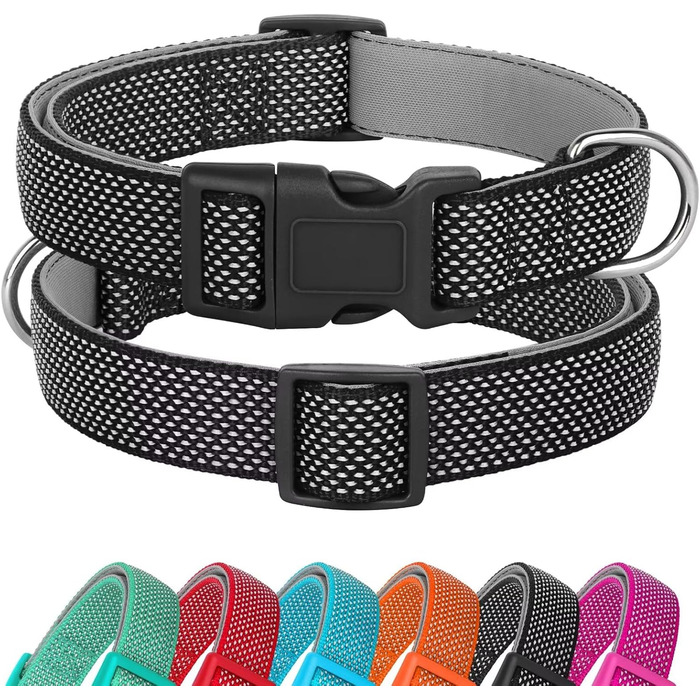 Світловідбиваючий нашийник для собак Didog з пряжкою, регульований, м'який неопрен, з підкладкою, нейлон, для малих, середніх та великих собак, зелений, L (обхват шиї 33-56 см)