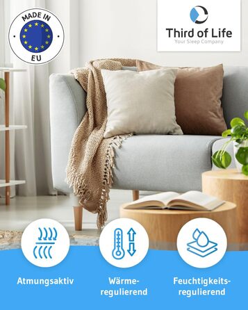 40x40 inch inSPIRO Pillow, Small decorative pillow from the winner of the Ergonomics Innovation Award, Soft pillow filling, Sofa pillow for allergy sufferers, Snuggle pillow, Decorative pillow for couch, bed, 95° washable