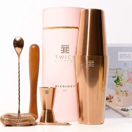Cocktail Shaker Set - Stainless Steel Shaker in Boston Style | Rich Accessories for Easiest Handling | Bonus Recipe Book, Elegant Gift Box & Storage Bag (Pink)