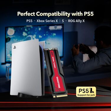 Gigastone SSD Gen4 2TB: Швидкий NVMe PCIe 4.0 SSD для ПК, ноутбука, PS5 з радіатором
