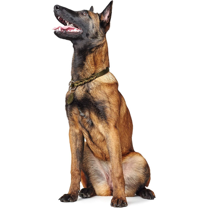 Нашийник для дрессури HUNTER SOLID EDUCATION, оливковий, міцне шкіряне плетіння, з кільцем, Made in Germany, розмір S-M