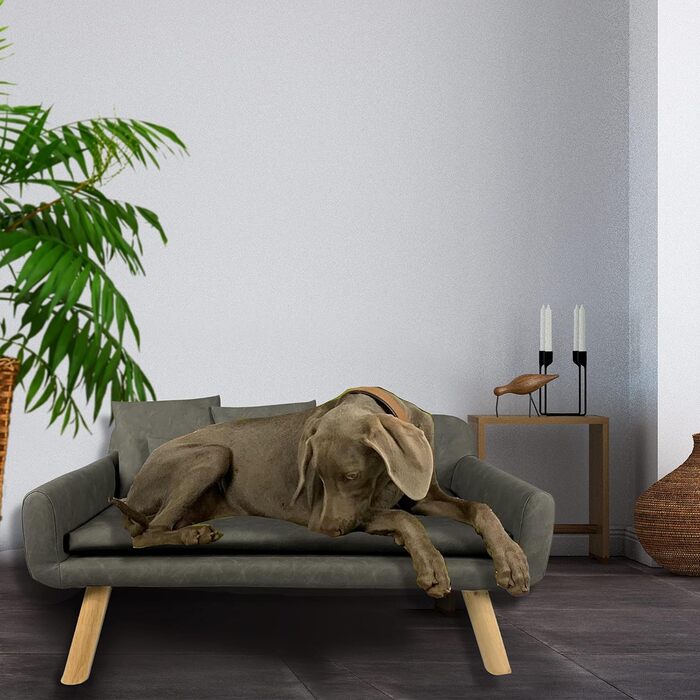 Диван для собак Тільда, штучна шкіра, ефект потертості, бежевий, 103x58x50 см