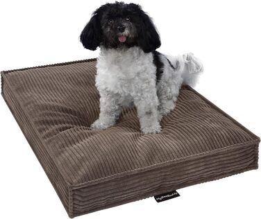MyBestBuddy Visco Dog Bed M with POSO-Cord fabric, featuring Visco foam and comfort foam flakes, washable at 40°C - Dog bed/Pet bed for small dogs, 70 x 50 cm (80x60 cm, Brown)