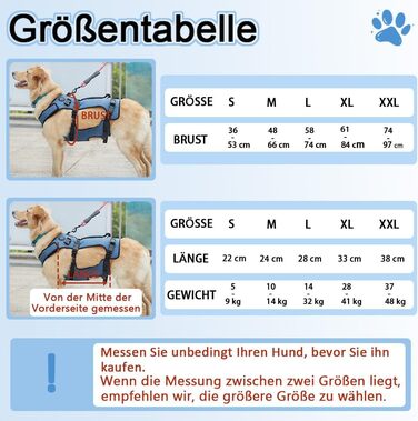 Підтримка для собак COODEO: дихаюча пов'язка для реабілітації для літніх собак з проблемами суглобів, артритом або слабкістю. Пов'язка для підтримки тіла з регульованими ручками (розмір 2XL, блакитний)