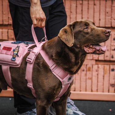 Нашийник для собак OneTigris Guardian з міцною металевою фурнітурою та великою кишенею, рожевий, M