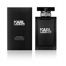Чоловіча туалетна вода Karl Lagerfeld Pour Homme, 100 мл