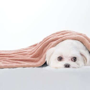 MIULEE Деки для собак 70x100 см, м'яка підстилка для тварин, флісова ковдра, підстилка для собак та котів, рожева