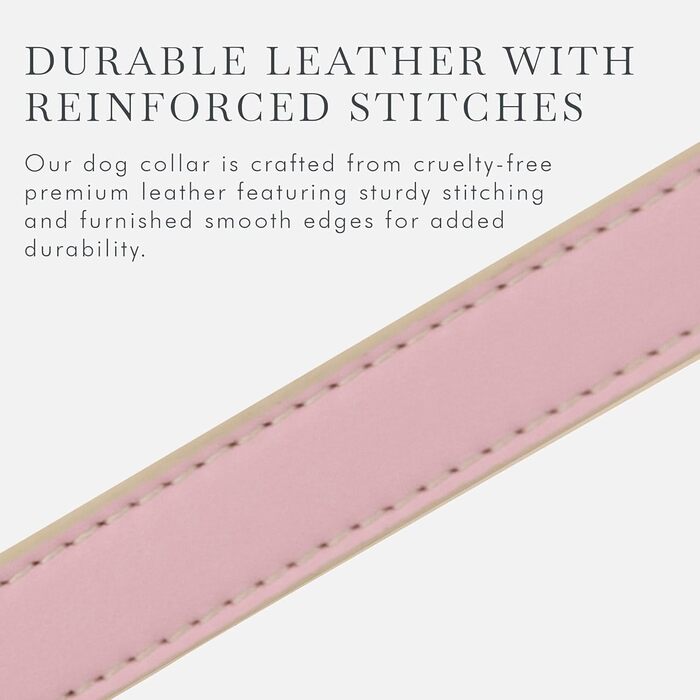 Cupertino Dog Collars, Harnesses & Leashes from Vegan Leather with Dog Tracker Device Holder, Adjustable Dog Collar (Small (Neck: 12x15), Pink) (Medium (Neck: 15x19), Pink)