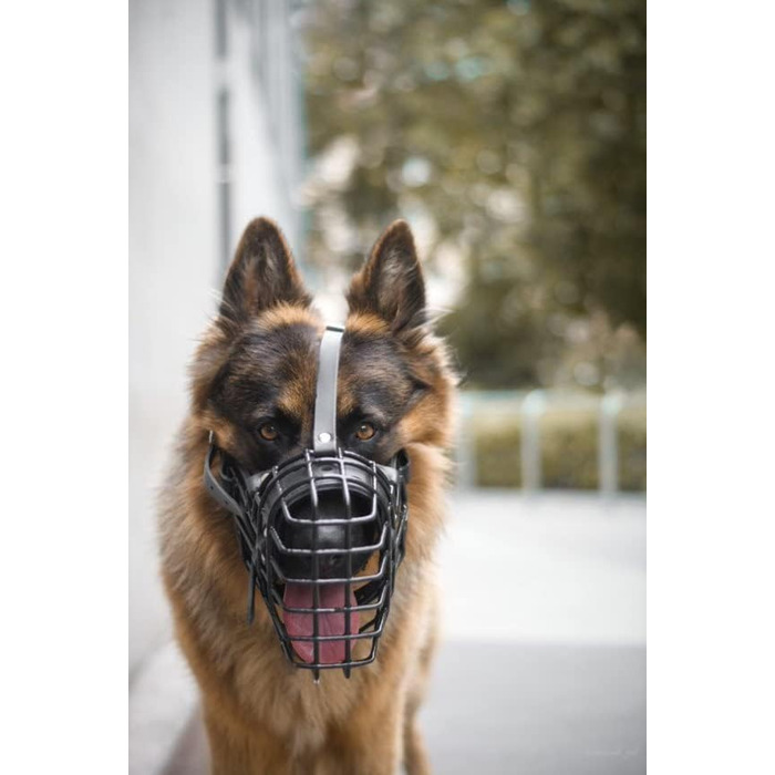 Dingo Gear Rubberized Metal Dog Muzzle for Malinois - Professional, Comfortable, Universal for Long Walks (S03048 Malinois L)