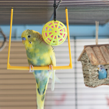 Relaxdays Birdhouse Decoration