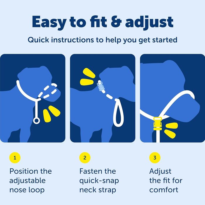 PetSafe Sanfter Führer: Нашийник-тренер з DVD (срібний)