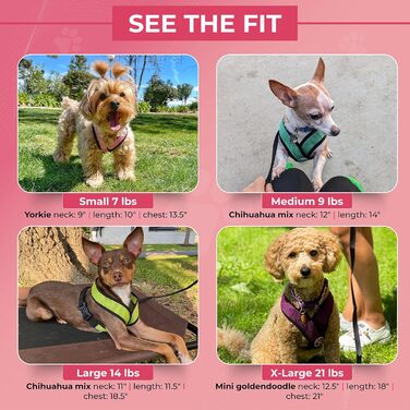 Нашийник для собак Gooby Comfort X для прогулянок та дому, чорний, розмір M, захист від задушення, для собак малих та середніх порід