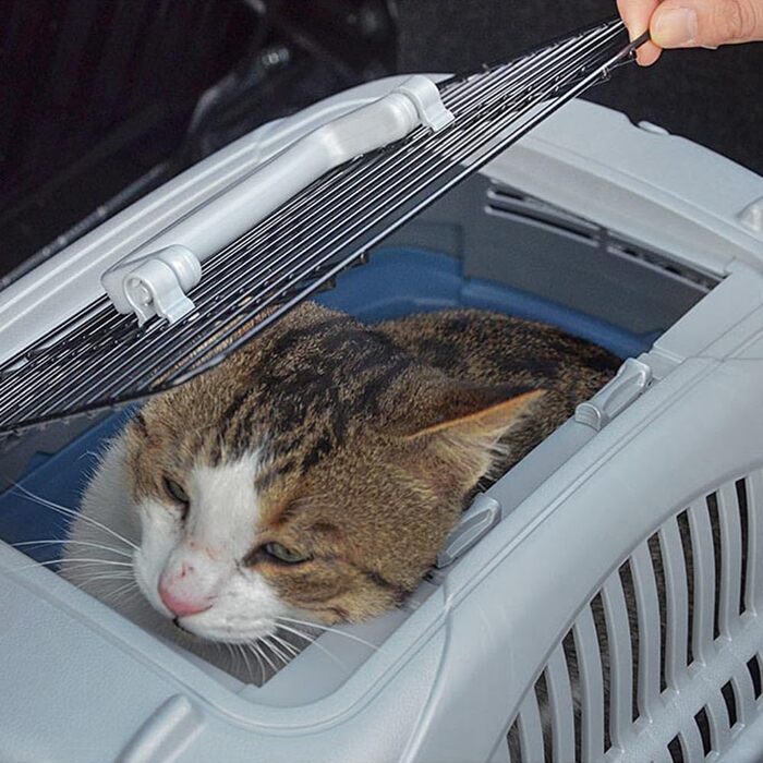 Переносна переноска для тварин Ferplast Atlas Deluxe 20 Open: для собак та котів, з подушкою та мискою, блакитна, 38x58x33 см