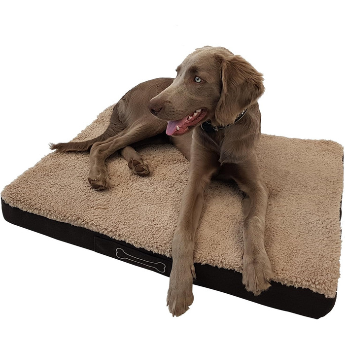 Ортопедична лежанка для собак Diluma Benji - лежанка для тварин з знімним чохлом - лежанка для собак Беж - 100 x 65 x 10 см (L, S 72 x 50 x 8 см)