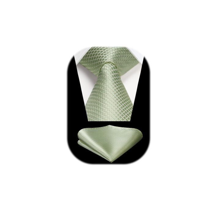HISDERN Комплект краватки та нагрудного хустинки для чоловіків: стильна краватка в клітинку з квітковим принтом, елегантний класичний дизайн (Salbeigrün-3)