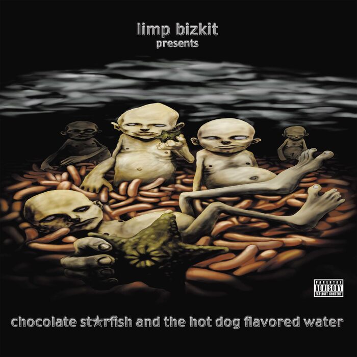 Вінілова платівка Chocolate Starfish & The Hot Dog - Flavoured Water (2LP) - Оригінальний вініл