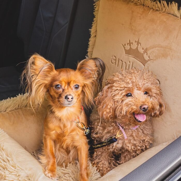 Автокрісло для собак та котів Bella Teddy, чорне, з штучної шкіри, 55x55 см, універсальне, миється