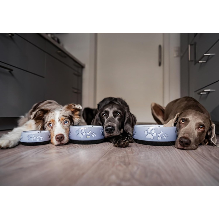 Миска для собак маленьких, середніх та великих порід, нековзна, об'єм 1010 мл, сіра (M)