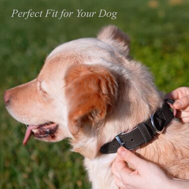 Нашийник для собак з м'якої шкіри, міцний та довговічний. Підходить для собак маленьких, середніх та великих порід. Матеріал: шкіра. Розміри: S (28-36 см), M (33-42 см). Колір: чорний