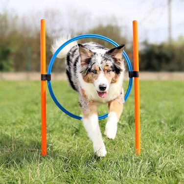 Набір для дресирування собак Agility: тунель, обруч, бар'єри, слалом, стійки